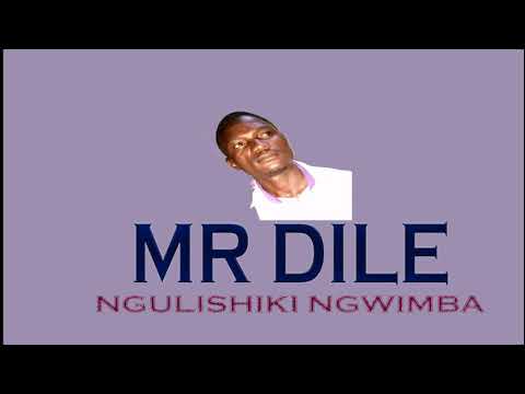 Mr Dile - Ngulishiki Ngwimba (Official audio)