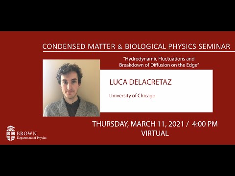 "Hydrodynamic Fluctuations and Breakdown of Diffusion on the Edge" Luca Delacretaz (U. Chicago)
