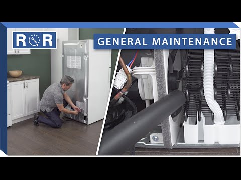 Refrigerator Yearly Maintenance Guide | Repair & Replace