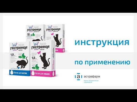 Миниатюра изображения товара Капли для регуляции половой активности у животных Гестренол Для кошек (1.5мл)