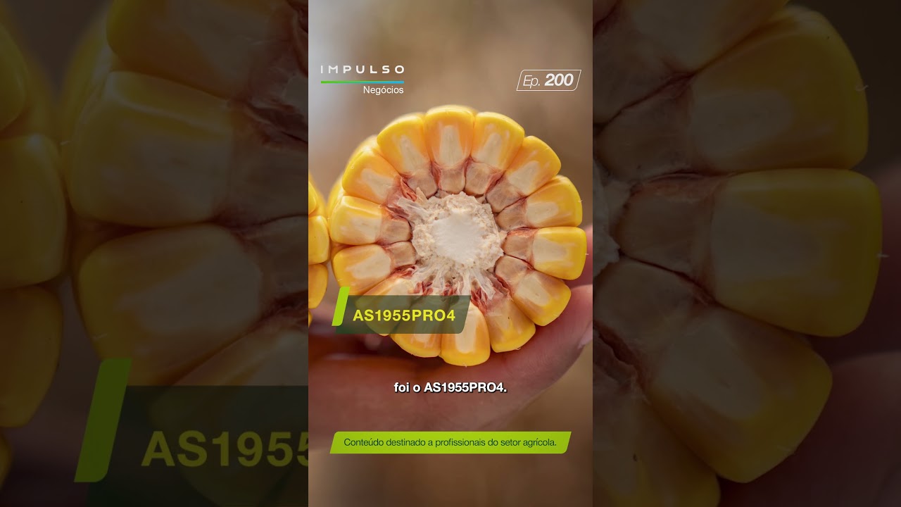 Confira o desempenho da Bayer na GETAP Verão Centro | Teaser Impulso Negócios