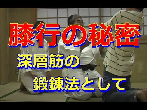 合気柔術チャンネル　稽古風景#34　稽古会　aiki   makoto   okamoto