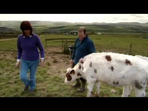 Janet Street-Porter makes her calves free range | The F Word
