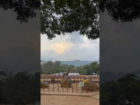 Parque Metropolitano. San Cristóbal. Táchira. Venezuela.