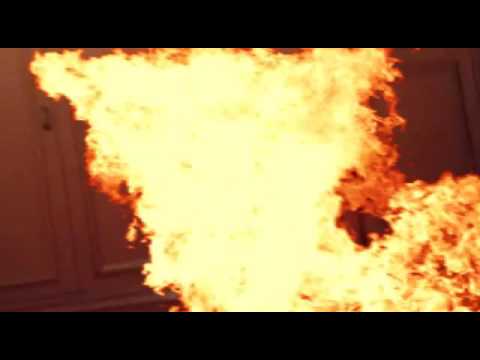 Favij vs ilvostrocarodexter