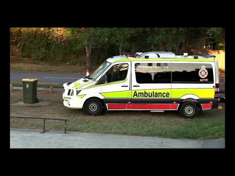 TEMPERED IBS JAM - VEGETABLE TELEVISION EP.8