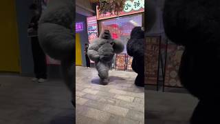 Download lagu kingkong berjoget diiringi bocil #shorts #joget #kingkong mp3 Download lagu kingkong berjoget diiringi bocil #shorts #joget #kingkong mp3