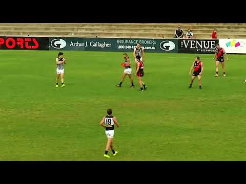 Highlights: Magpies v West Adelaide