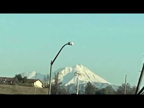 Shasta was looking very majestic today