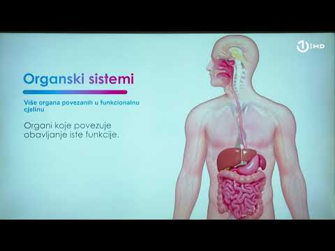 Domaća zadaća za 7. razred: Biologija - Ponavljanje gradiva