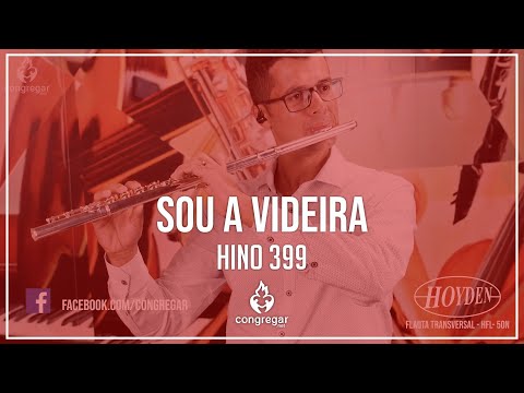 🎷 Hino 399 - Sou a Videira - Flauta - Hoyden -  CCB 🎷