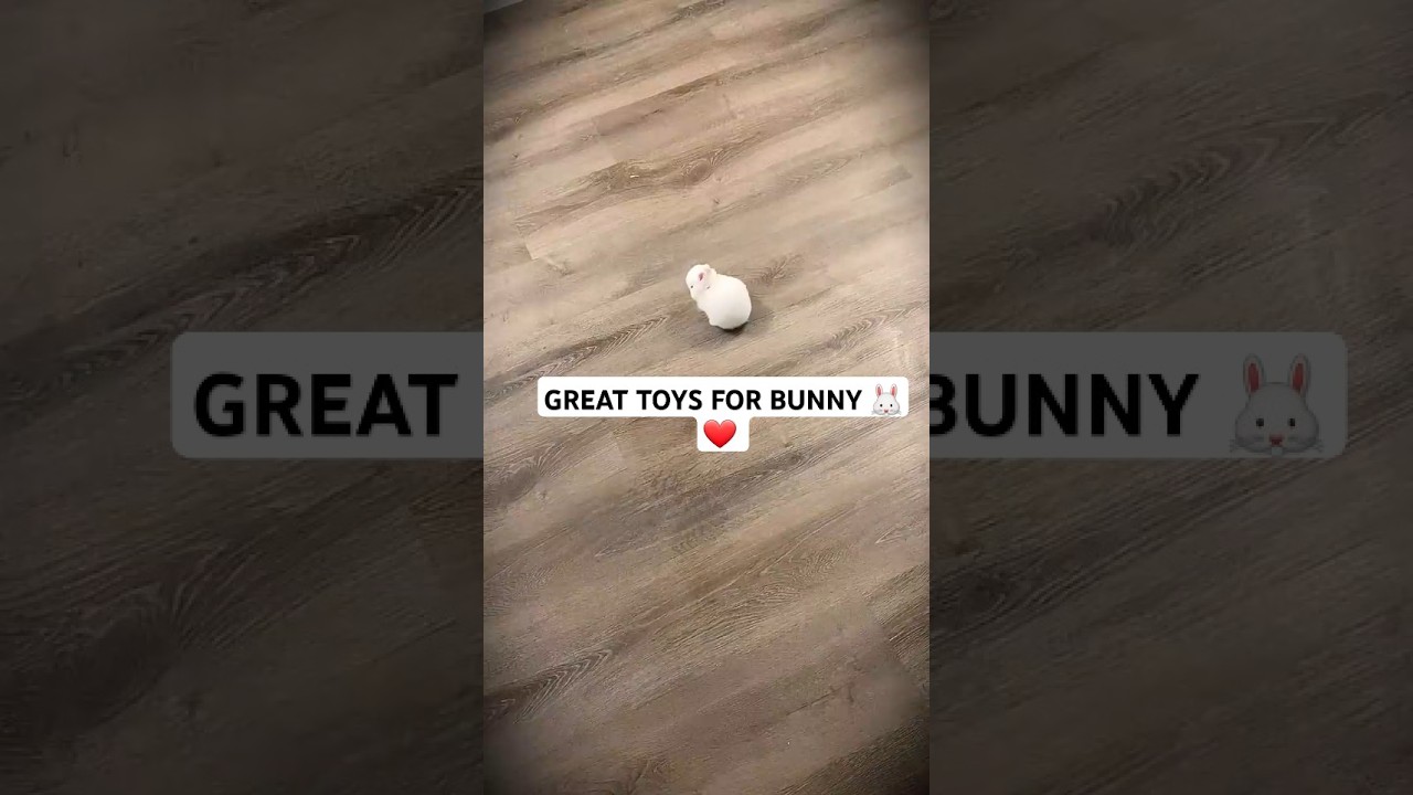3 Rabbit Toys My Bunny Actually Uses