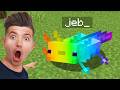100 Secret Minecraft Myths That Are Real