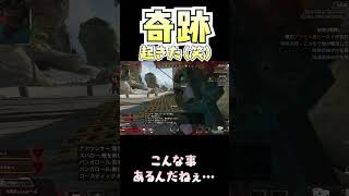 こんなことあるんだね^_^ #apexlegends #apex #エーペックス