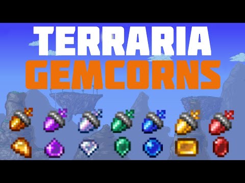 How Long Do Gemcorns Take To Grow