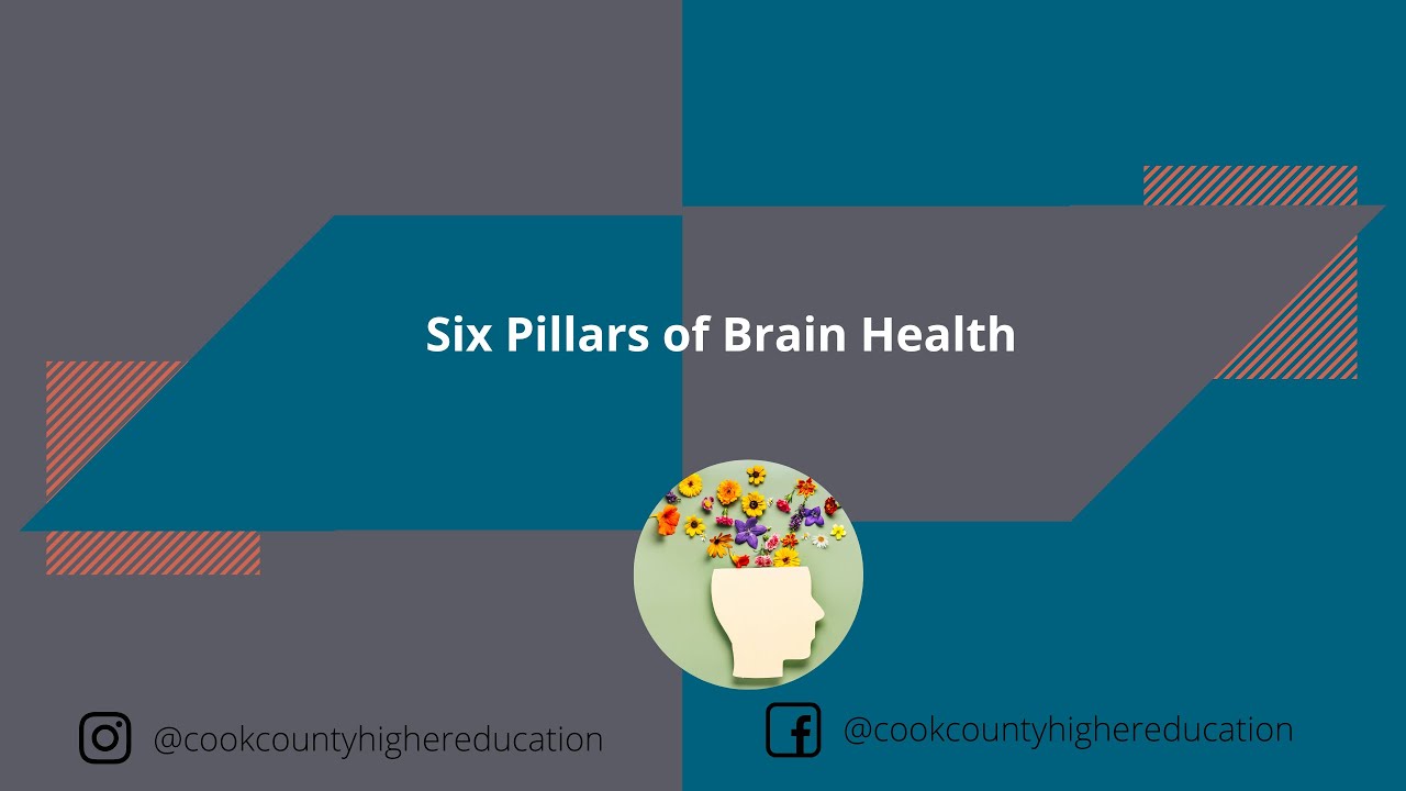 Six Pillars of Brain Health