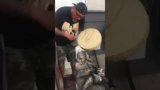 he was ready for the drum 🥁 #husky