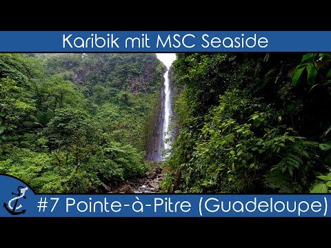 Karibik mit MSC Seaside - #7 Pointe-à-Pitre (Guadeloupe) - Regenwald - Kreuzfahrt-Vlog 2023 - 4K UHD