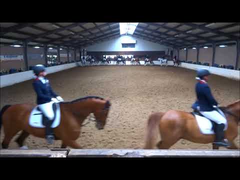 HCHW paarden carrousel officiële 2018