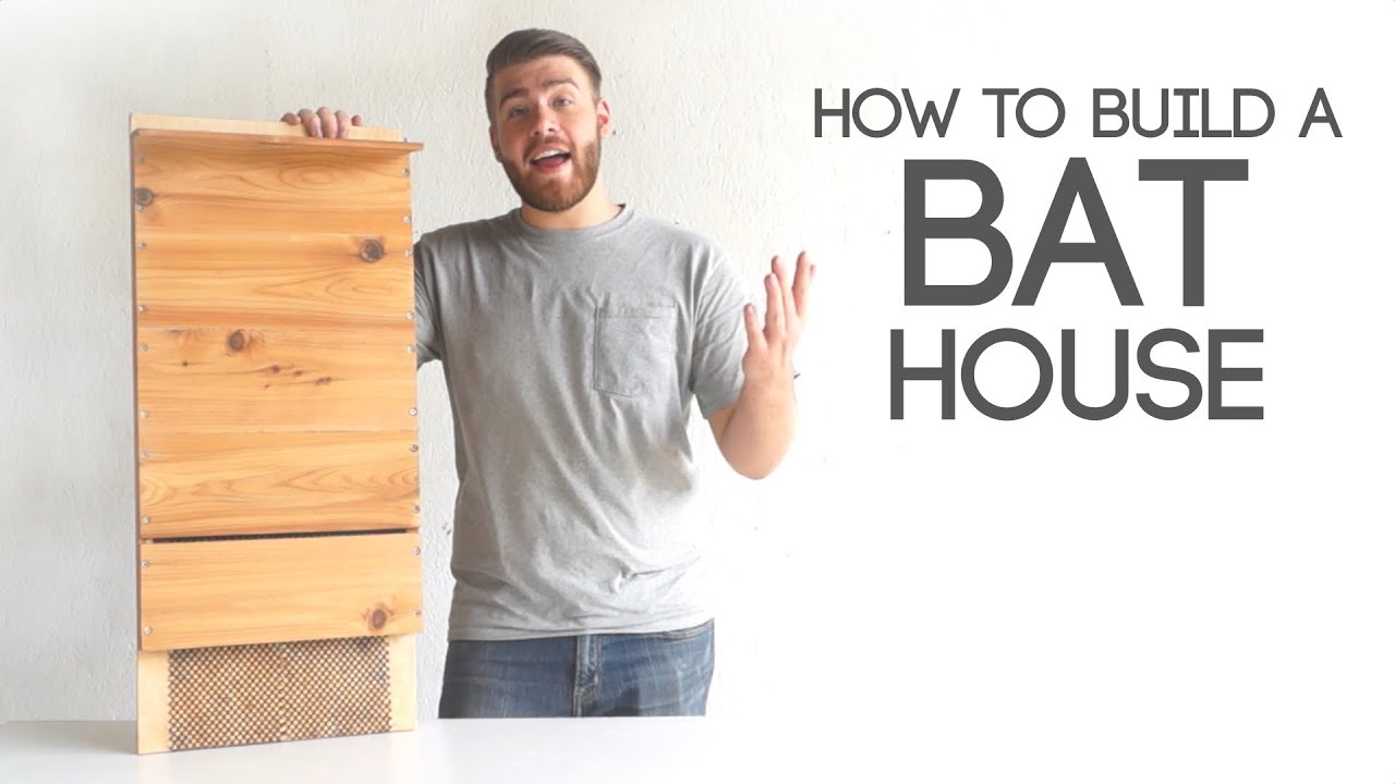 How To Build A Bat House | Modern Builds | EP. 40