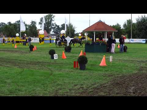 Fahrturnier Ostenfelde 19.8.2017