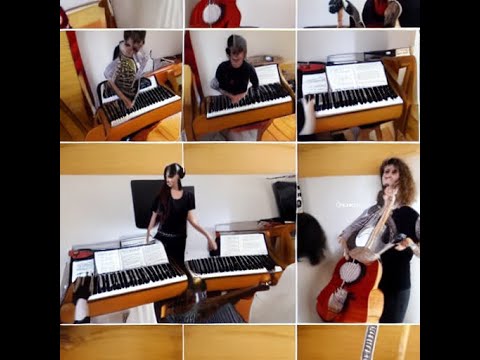 Tutorial orga, acordeon: Sarba lui Dani Sava (muz4muz Cover)