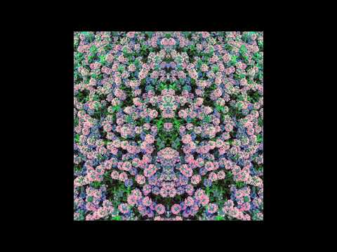 Indefinite Pitch PREMIERES. Sara Berts - Non C'è Nessuno [Muzan Editions]