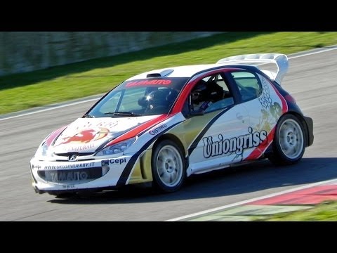 Rally Franciacorta Circuit 2014 - DS3 WRC, Fabia WRC, Audi Quattro, 206 WRC & More