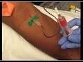 Phlebotomy Procedure: Venipuncture with 21G Butterfly #education #phlebotomy #tutorials