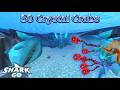 I killed 50 Crystal Crabs in shark go vr.