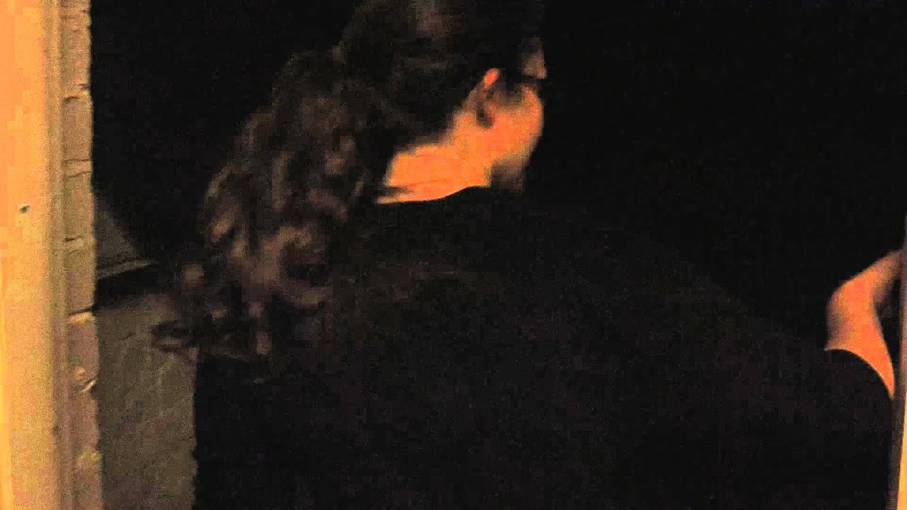 Behind the scenes at Victoria Art Gallery: Art Store Tours