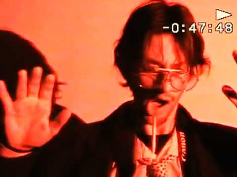 Factor 50 - Year of The Zebra