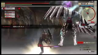 とあるブラッド隊長の回想録～キャラエピ・ジーナ編～