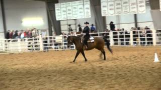 Anna Loughran - Individual Intermediate Horsemanship - IHSA Western Semi-Finals 2014