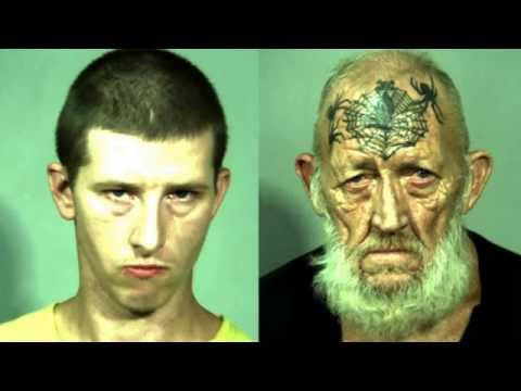 Shitlip- Endless Demise