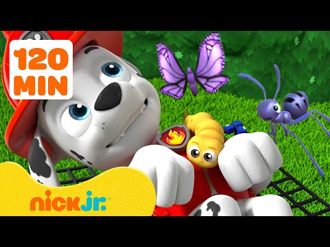 PAW Patrol Bug Rescues & Adventures! 🐝 #2 | 2 Hours | Nick Jr.