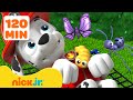 PAW Patrol Bug Rescues Adventures 2 2 Hours Nick Jr