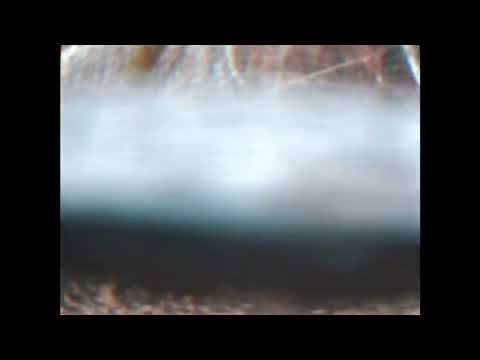 Baby Main - “StirCrazy” prod by lefthandan