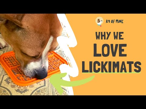 YouTube video about: What to put on lick mat for dogs?