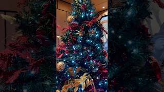 A Christmas cruise is full of wonder. #cruise #cruiseship #christmas #solocruise #cruiselife