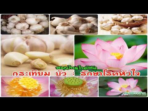 หลอกแรงจักรพรรดิ ธ อร์ค้อนหัวรูปภาพหมาป่า