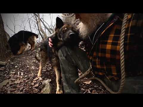 Marshall Brothers - Grass aint greener