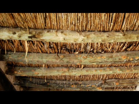 Evangelium podle Marka IV.