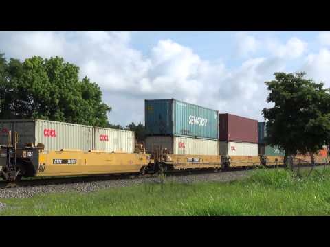 NS 6101 leads the NS NP82