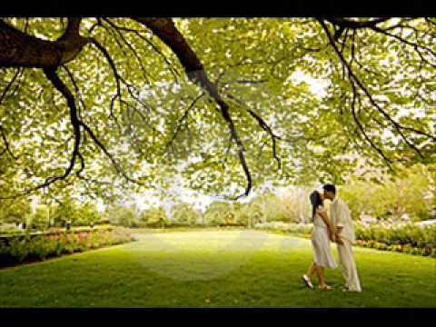 Bajaga - Pod Jasenom