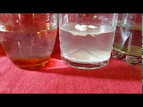 Sciences CM1 : mélanges et solutions - Soluble ou pas ?