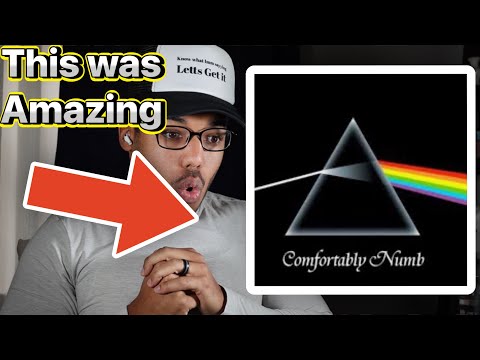 Hip Hop Head First Time Reaction to Pink Floyd “comfortably numb”