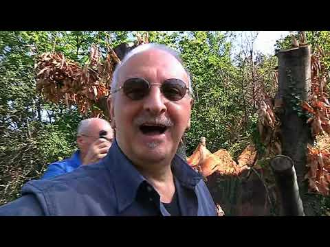 Fogola Giuliano - i marroni di Tolceto Alta - Val Graveglia