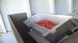 Ссылка