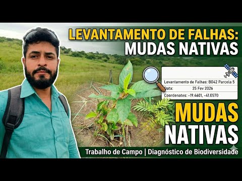 Gestão Ambiental na prática 5